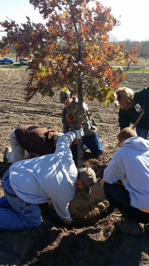 We were proud to be partner with Linn County Conservation Department to help plant trees at Squaw Creek in 2016! Along with local Boy Scouts, and The Kirkwood College Conservation program students. 40 trees planted!