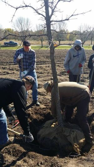 We were proud to be partner with Linn County Conservation Department to help plant trees at Squaw Creek in 2016! Along with local Boy Scouts, and The Kirkwood College Conservation program students. 40 trees planted!