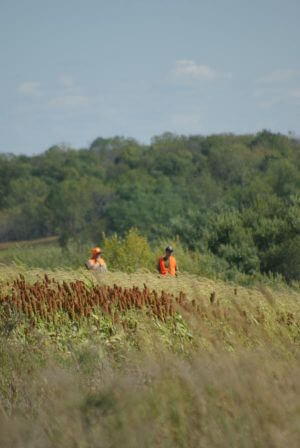 2017 Heroes Hunt Image (October 2017)