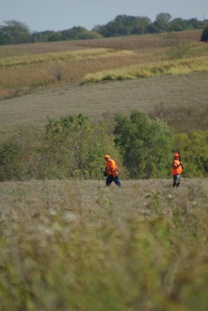 2017 Heroes Hunt Image (October 2017)