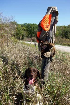 2017 Heroes Hunt Image (October 2017)