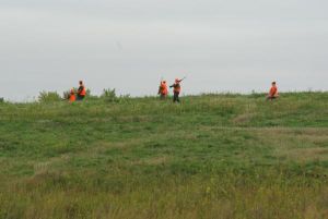 2016 Heroes Hunt - Iowa Linn County Pheasants Forever